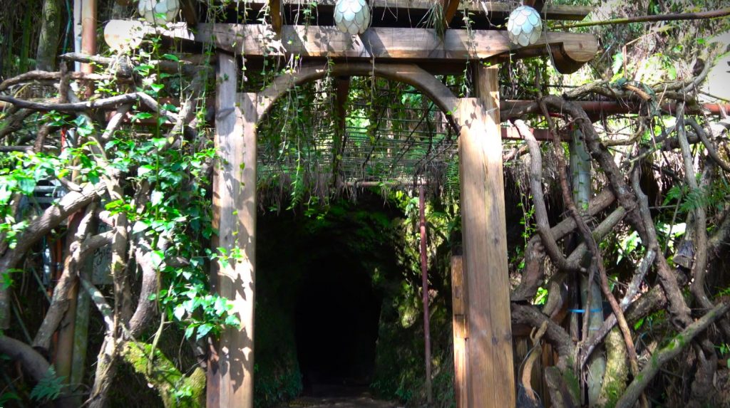 The entrance to the tunnels in the Botanical Garden. Photo via Facebook.